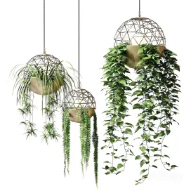 Atelier Schroeter Luminaires With Hanging Plants